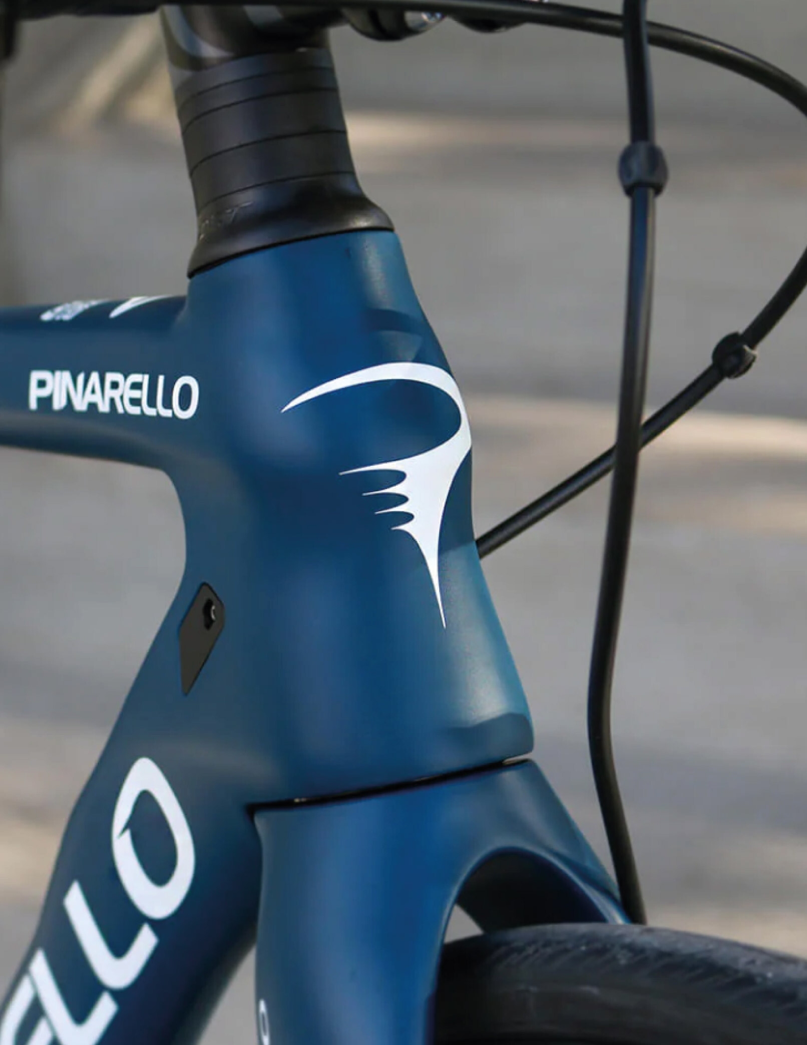 pinarello-paris-rent
